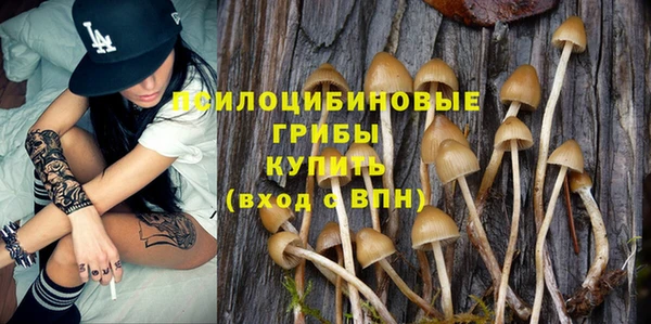прущие крисы Абинск