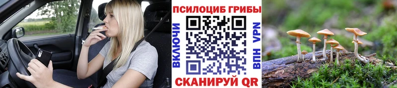 Псилоцибиновые грибы Magic Shrooms  Пойковский 